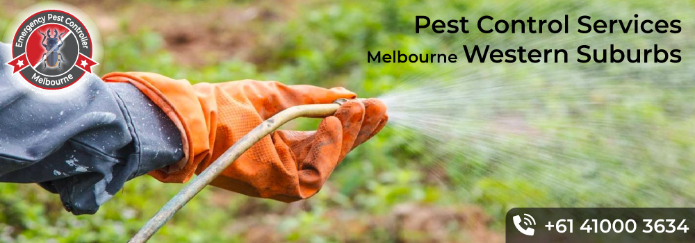 <small>Pest Control</small>  Northern Suburbs