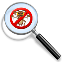 Pre-Purchase Pest Inspection
