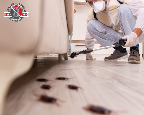 Commercial Pest Control Services